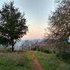 A late winter afternoon glows in bright pink hues on the Prospect #3 Trail.