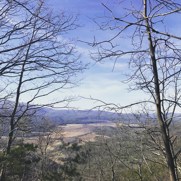 Although obscured, the views of Cades Cove are impressive.