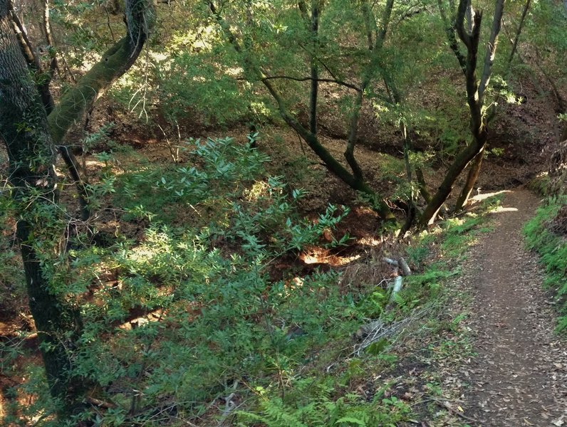 A seasonal stream runs to the left of New Almaden Trail.