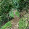 The wooded hillsides of the New Almaden Trail make for a scenic day trip.