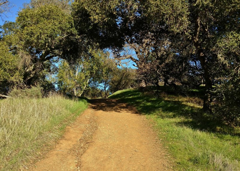 Going uphill on the Hacienda Trail.