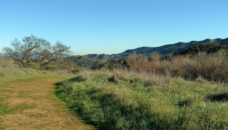 Looking out towards the hills south of San Jose, California.