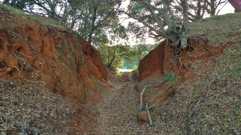 Catherine Tunnel, the ruins of an old mining tunnel.