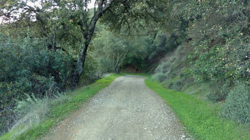 Mine Hill Trail winds through hilly wooded terrain in east Quicksilver Park.