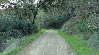 Mine Hill Trail winds through hilly wooded terrain in east Quicksilver Park.