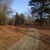 A quick detour around the Marsh View Loop Spur makes for a great addition to any morning jaunt.