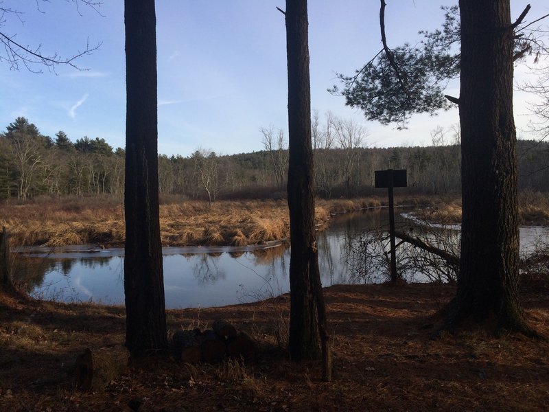 The Quinebaug River from the Grand Trunk Trail.