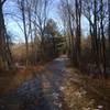 Looking down the old railroad grade.