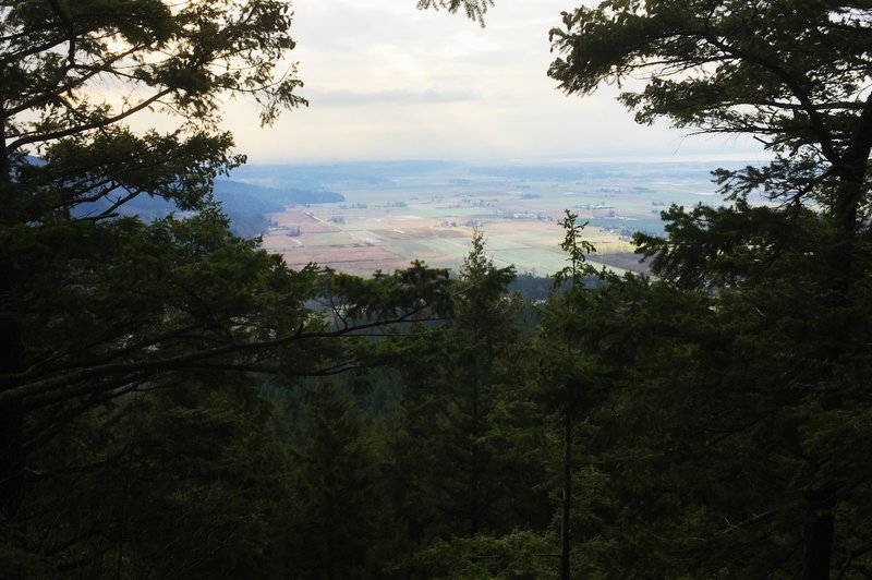 A patchwork of fields seen from the Ridge Trail at Little Mountain Park.