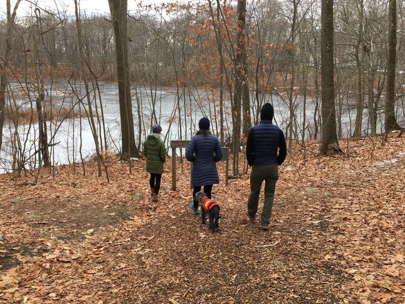 Weir Pond Trail, at the beginning (or end!) of the loop.