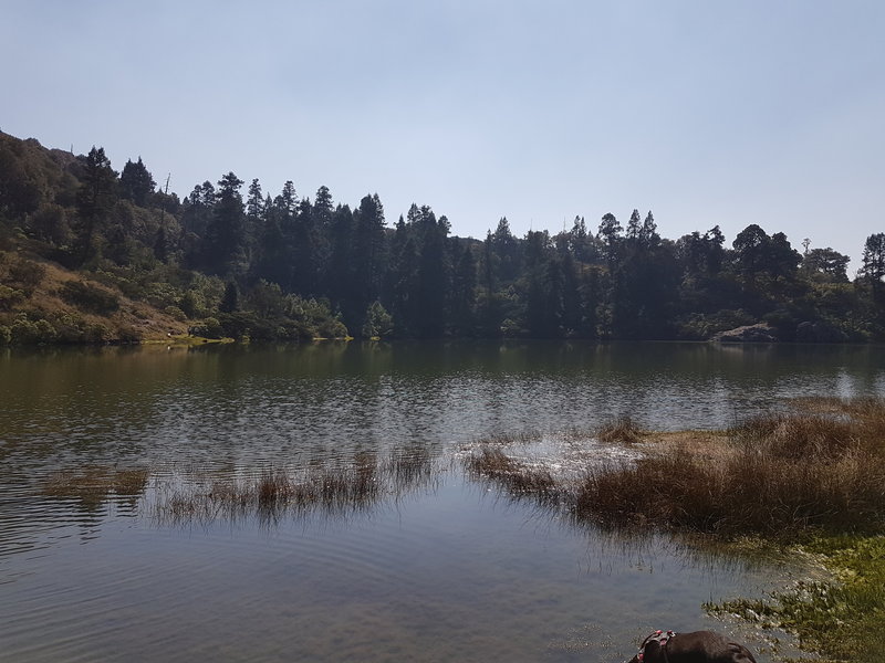 El Cedral Lake shines brightly beneath a cloudless sky.