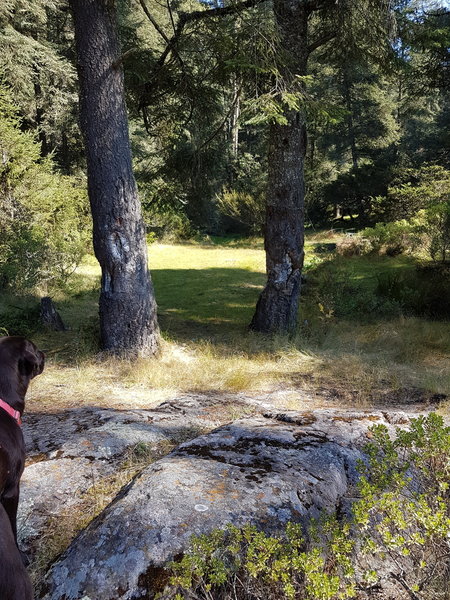 This section of trail signals the approach to the waterfall.