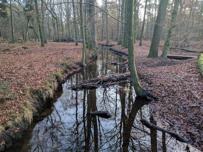 Hierdensebeek stream.