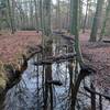 Hierdensebeek stream.