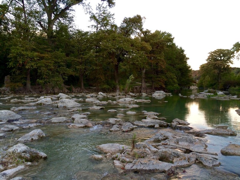 Along the banks at Guadalupe River State Park.