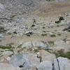 A lot of swichback on the south side of Red Peak Pass.