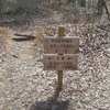 Trail markers appear after a field near some campsites. Keep heading straight to hit the Robbins Branch Trail.