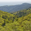 The view from Fern Creek Trail on Mount Tamalpais is captivating.