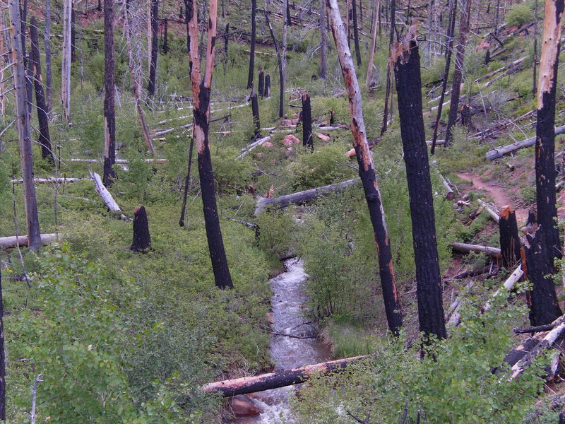 Wildfires have scorched the area near the trailhead.