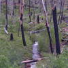 Wildfires have scorched the area near the trailhead.