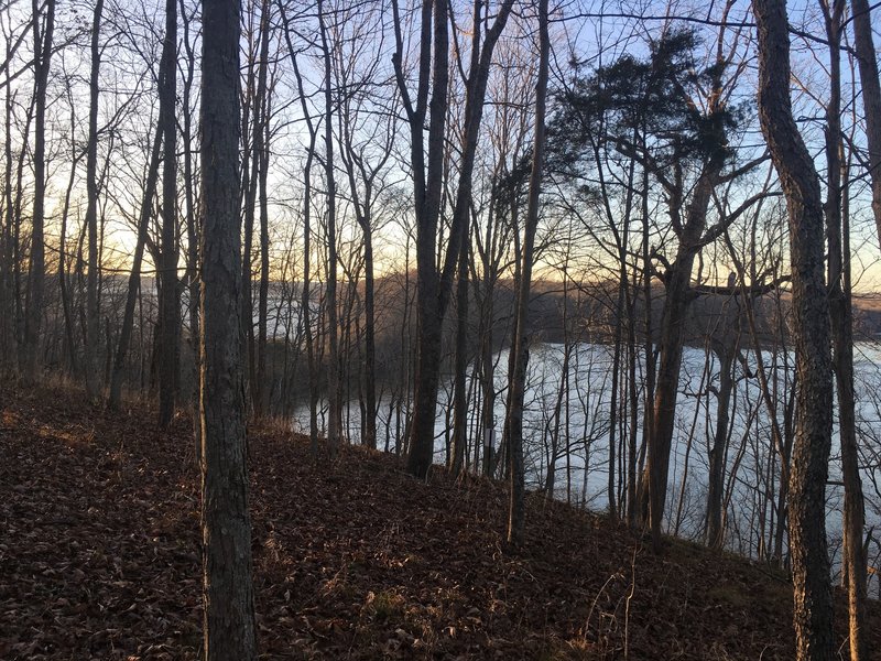 This photo is looking west, back over the trail you've just walked out on. Left of center you can see the causeway for 446.