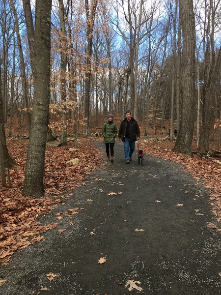 Dog walking is a popular activity on the Norwalk River Valley Trail.