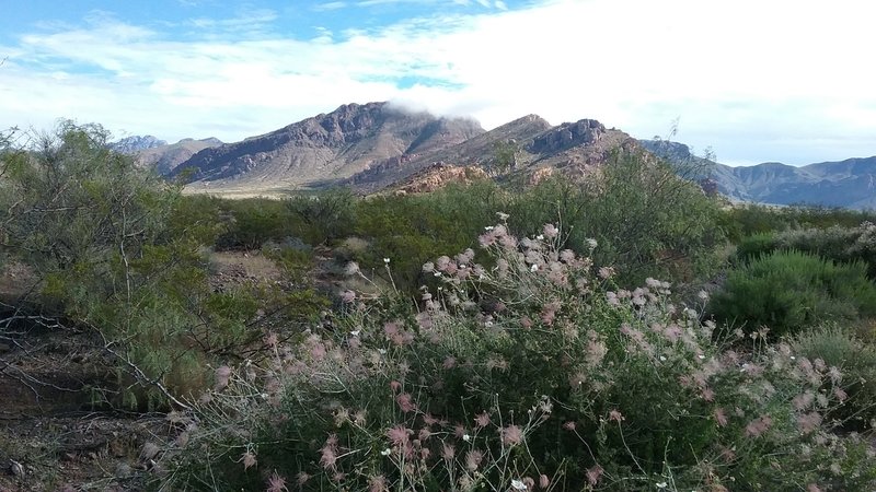 Stunning views of Pena Blanca are abundant from the Sierra Vista Trail.