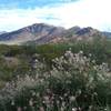 Stunning views of Pena Blanca are abundant from the Sierra Vista Trail.