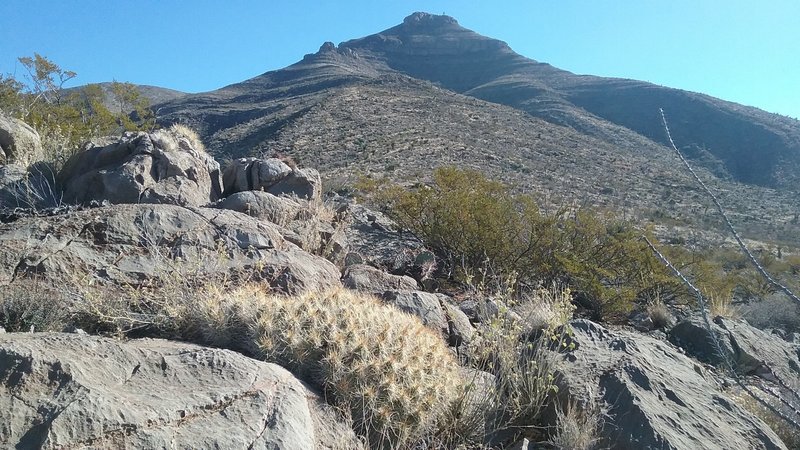 The Sierra Vista Trail is notorious for offering great views of Bishop Cap.