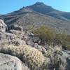 The Sierra Vista Trail is notorious for offering great views of Bishop Cap.