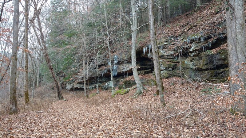Icicles form along rock shelters on the Yamacraw Loop Trail.
