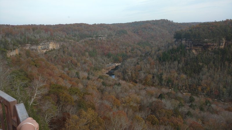 Blue Heron Overlook shows signs of the season in December.