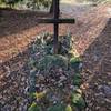 A memorial remembers those lost in the crash of an RAF Lancaster bomber in 1943.