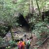 Hikers head down into the North Fork Honey Creek along the Honey Creek Loop.