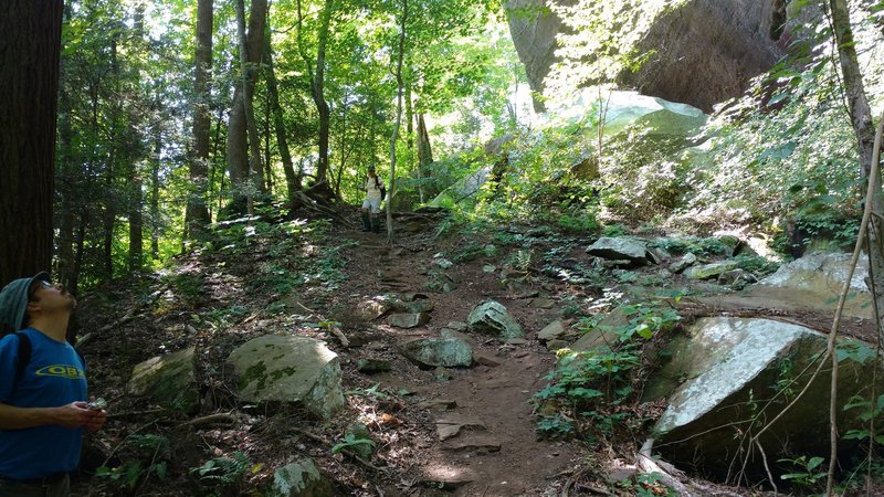 A hiker takes a break along the Honey Creek Loop Trail.