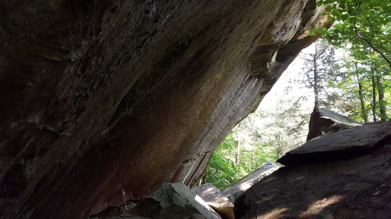 There are a host of interesting rock features along the Honey Creek Loop.