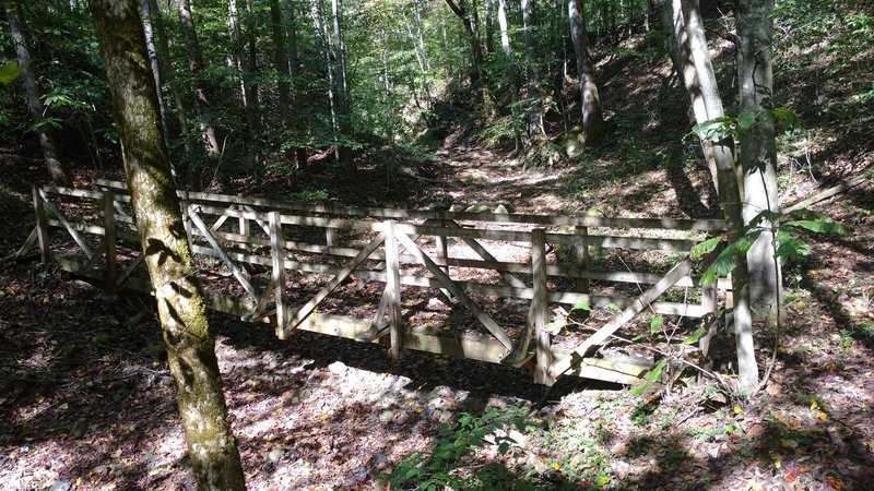 A bridge crosses over a dry creekbed near Rock Creek on the Kentucky Trail (north segment). After the bridge, there are stairs that lead up to Wilson Ridge and eventually connect back to the KY Trail near Blue Heron.