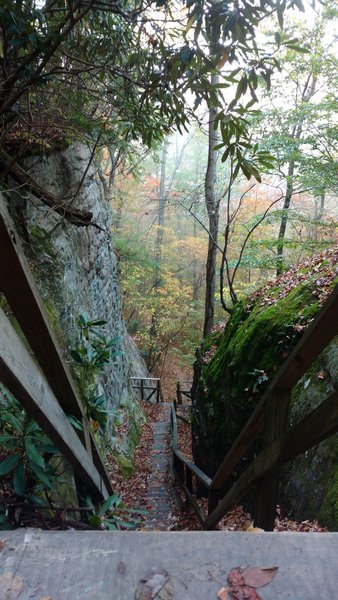 Steps along the Blue Heron Loop Trail lead to the rock climbing area at Crack-in-the-Rocks.