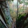 Steps along the Blue Heron Loop Trail lead to the rock climbing area at Crack-in-the-Rocks.