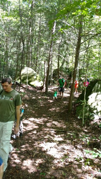 Families hike along the Blue Heron Loop Trail near the river.