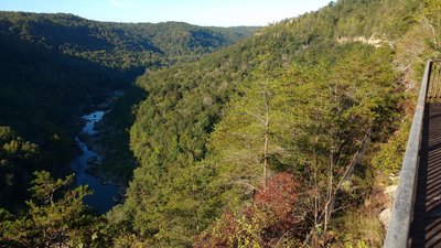 Devil's Jump Overlook on the Blue Heron Loop Trail looks west towards Devil's Jump Rapids on the Big South Fork Cumberland River.