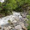 Dense forest hugs the Rio Ascencio as you climb to the Torres.