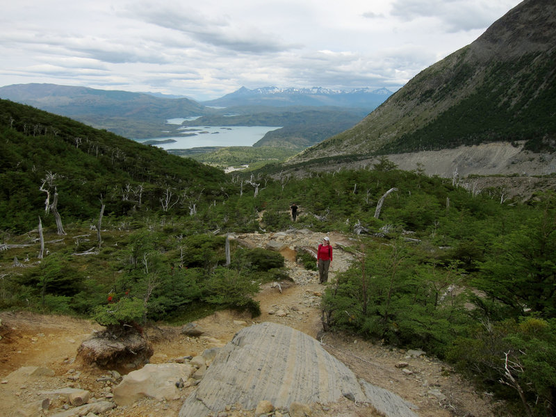 Hiking up to the Frances Lookout leads to gorgeous views of Lake Nordenskjold.