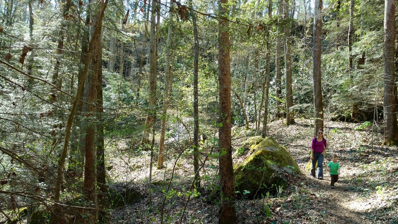 Nice stroll through the woods before descending through the Split Bow arch.