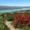 Lago Nordenskjöld in Torres del Paine National Park.