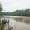 Looking upstream at the Colorado River Colorado River from the McKinney Roughs Loop.