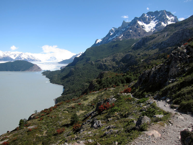 Lago Grey and Grey Glacier in Torres del Paine National Park.