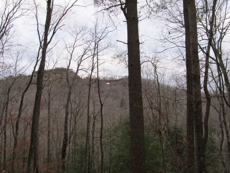 During the winter, Double Arch can be seen through the trees on the Courthouse Rock Trail.