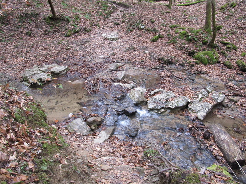 Crossing the Auxier Branch Creek is both scenic and easy.