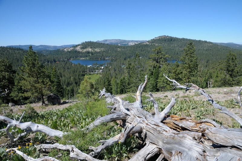 The Serene Lakes basin looks gorgeous and deep blue from the Forest Service Ridge Trail.